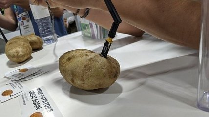 Вот до чего техника дошла: появилась первая в мире "умная" картошка (Видео)