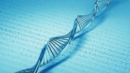 Ученые выяснили, как влияет страх на ДНК человека 
