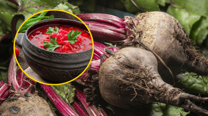 Без свеклы невозможен борщ