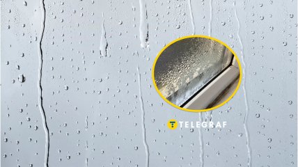 Конденсат на окнах