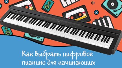 Как выбрать цифровое пианино для начинающих