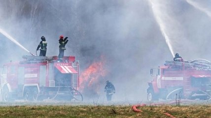 "Рослес" купил бесполезное оборудование для тушения пожаров на миллион долларов