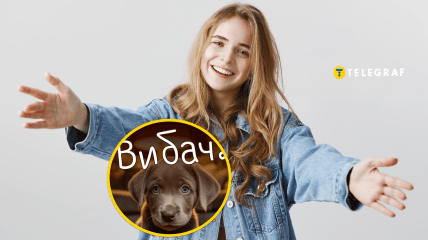 Картинки, чтобы красиво попросить прощения