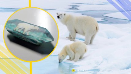 Иллюстративное фото