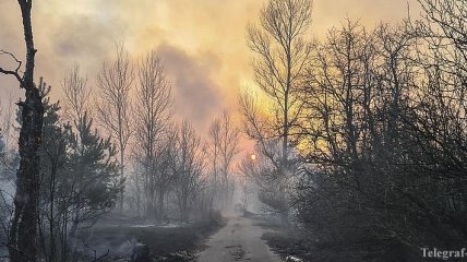 Спасатели о пожарах: Если так и дальше пойдет, к зиме выгорит вся страна