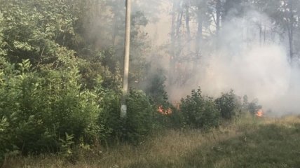 На Харьковщине спасатели с помощью авиации локализовали лесной пожар