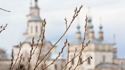 Верба на фоне церкви