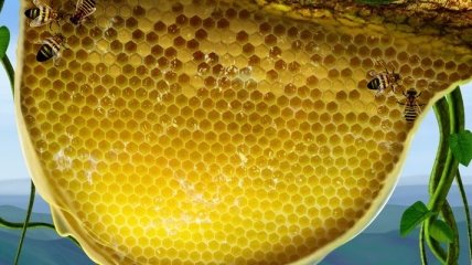 Мед эффективен в лечении кашля