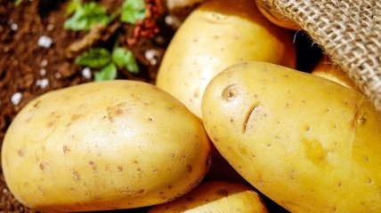 Ученые выяснили, сколь можно съесть картошки без вреда для здоровья