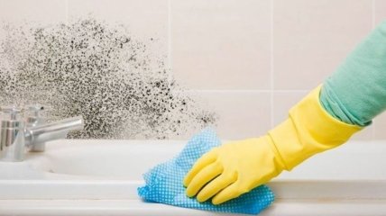 Как убрать плесень в ванной комнате