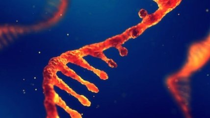 Гипотеза "мира РНК" рушится: каковой могла быть первая жизнь 