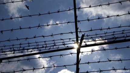 СМИ: Россия строит на границе с Польшей забор