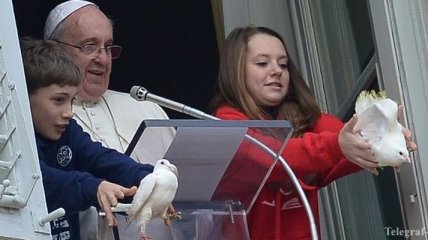 Папских голубей в Ватикане теперь будет защищать ястреб 