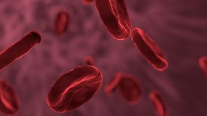 Ученые научились превращать разные группы крови в универсальную