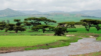 Эфиопия - потрясающие ландшафты и гостеприимные люди
