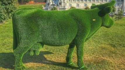 Зеленые коровы невозможны в природе