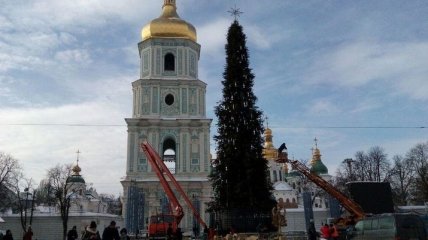 Праздники закончились: в Киеве демонтируют главную елку страны