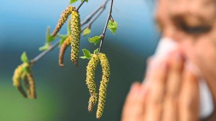 Пилок багатьох видів рослин може викликати у людей алергію