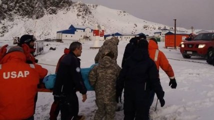 Украинского ученого эвакуировали из Антарктики и госпитализировали в Чили