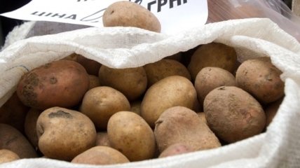 В Киеве подорожал картофель, и не только он 