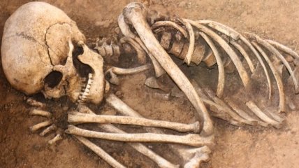 Археологи нашли самый древний в Японии скелет