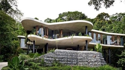 Потрясающий дом в тропическом лесу (Фото)