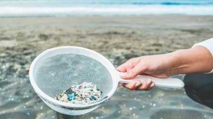 Загрязняет не только океаны: как микропластик влияет на жизнь в почве 
