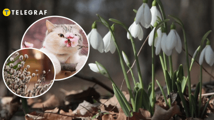 Погода в марте