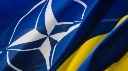 Грядет страшное? Обострение на Донбассе стало причиной волнений в НАТО
