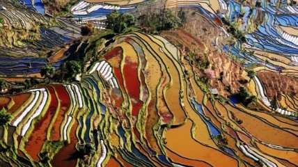 Рисовые террасы в провинции Юньнань (Фоторепортаж)