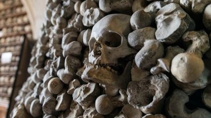 В Британии из церковного склепа похитили 21 череп 