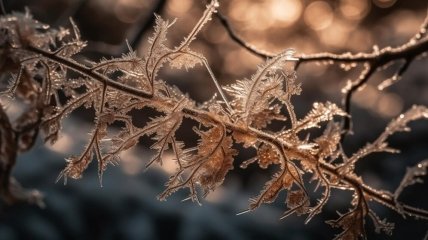 Вскоре в страну вернется похолодание
