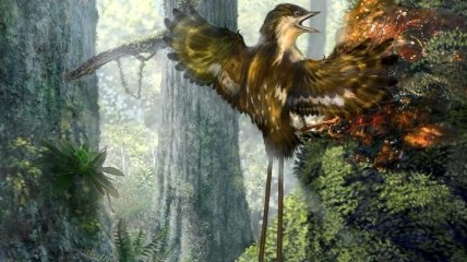 Палеонтологи нашли в янтаре птиц мелового периода