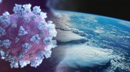 Изменение климата могло привести к появлению коронавируса на Земле: к какому выводу пришли ученые