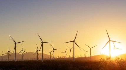 Бразилия может стать мировым центром ветровой энергетики