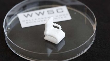 С помощью 3D-принтера научились печатать объекты из дерева
