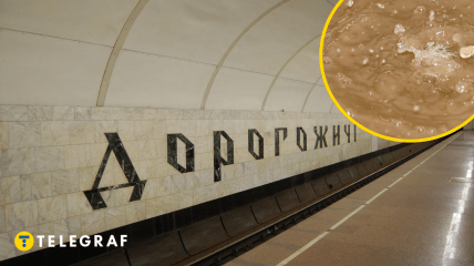 Метро "Дорогожичі"