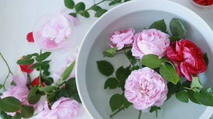 Варенье из чайной розы: рецепт с видео