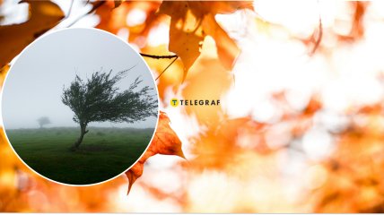 Погода в Україні 23-25 вересня