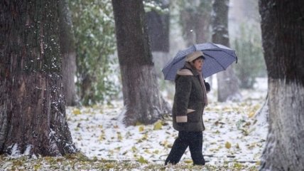 На Украину надвигаются снегопады