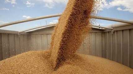 В ГФС сообщили, сколько Украина с начала года экспортировала пшеницы