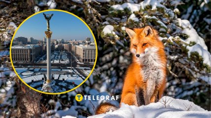 Погода в Киеве