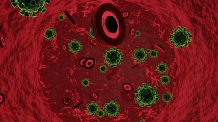 О коронавирусе: какая группа крови более уязвима к COVID-2019
