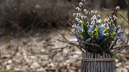 С Вербным воскресеньем: поздравления в стихах и открытках