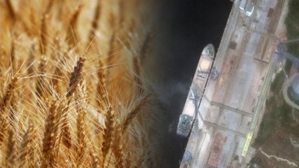 В українських портах заблоковані тисячі тонн зерна