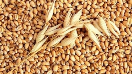 Пшеница в детском питании