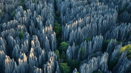 Удивительное зрелище: каменный лес Цинги (Фото)