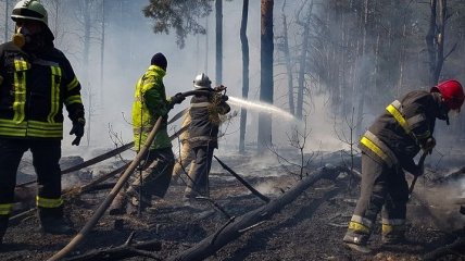 У Чорнобильській зоні знову спалахнула лісова пожежа