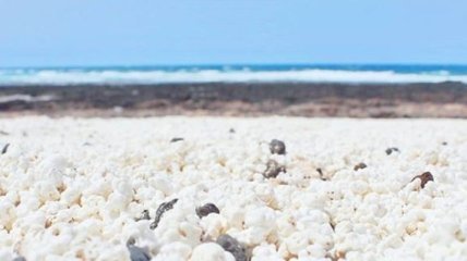 Пляж с попкорном вместо песка: самый необычный пляж (Видео)