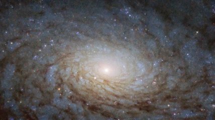 NASA показало знімок галактики, схожої на інший вимір